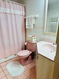 a bathroom with a pink toilet and a sink at Descanso Urbano in Santiago