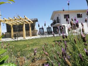 um jardim com flores roxas em frente a um edifício em Abrigo das Andorinhas em Aveiro