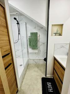 a bathroom with a shower and a green towel at Studio Cosy in Saint-Gilles