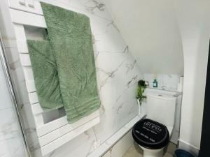 a bathroom with a toilet and green towels on the wall at Studio Cosy in Saint-Gilles