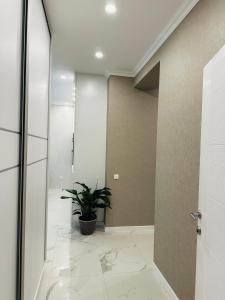 a hallway with a potted plant and a glass door at Apartmani Sunce in Bar