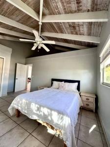 - une chambre avec un lit et un ventilateur de plafond dans l'établissement Entire Waterfront House, à Turtle Cove
