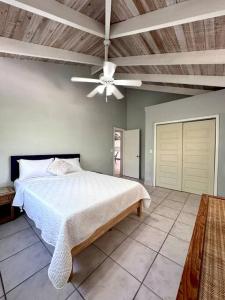 1 dormitorio con 1 cama y ventilador de techo en Entire Waterfront House, en Turtle Cove