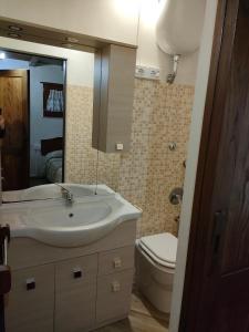 ein Badezimmer mit einem Waschbecken, einem WC und einem Spiegel in der Unterkunft La Casetta della valle di Civita in Bagnoregio