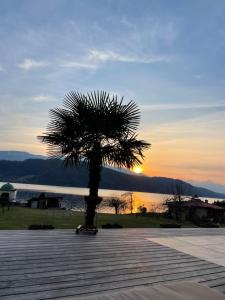 a palm tree on a skateboard in front of a sunset at Ferienwohnungen Seerose in Dellach direkt am Millstätter See in Millstatt