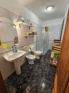 a bathroom with a sink and a toilet and a shower at Apartamento Mendoza-San Isidro in San Isidro