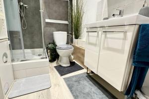 ein Bad mit einem WC, einer Dusche und einem Waschbecken in der Unterkunft Le Cocon Douillet - 5" de la gare - WiFi - Accès direct Paris & Disneyland in La Ferté-sous-Jouarre