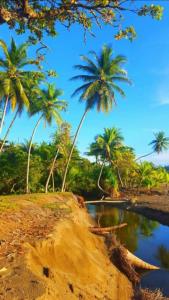 Φωτογραφία από το άλμπουμ του Casita Colibri Playa Rincon Bahia Drake σε San Pedrillo