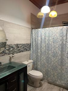 a bathroom with a toilet and a shower curtain at Krizia Place in Nassau