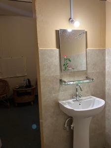 索拉哈的住宿－Glampin By Tharu Garden，一间带水槽和镜子的浴室