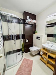 斯維諾烏伊希切的住宿－Ava Relax Apartments，带淋浴、卫生间和盥洗盆的浴室