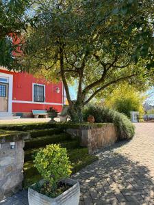 a tree in front of a red building with stairs at LA TERRAZZA SU ROMA in Zagarolo