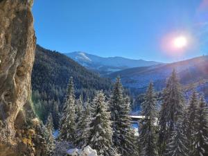Příroda nedaleko hotelu