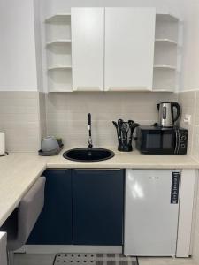uma cozinha com um lavatório e um micro-ondas em Apartament D&T em Vatra Dornei