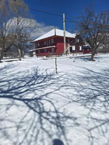 czerwona stodoła na pokrytym śniegiem polu porośniętym drzewami w obiekcie Casa Claudiu w mieście Măgura