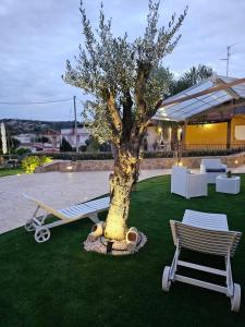 Fotografie z fotogalerie ubytování Casa Maya v destinaci Brucoli