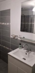 ein Bad mit einem Waschbecken und einem Spiegel in der Unterkunft Le Montadou in Coucouron