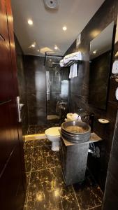 a bathroom with a sink and a toilet and a shower at Pharaonic Pyramids Inn in Cairo