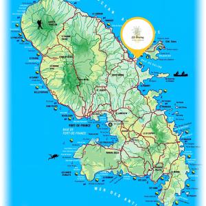 Gambar di galeri bagi 135_ananas_bdg di La Trinité