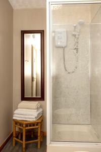 uma casa de banho com um chuveiro com um banco e um espelho em Castle Inn em Newtownstewart