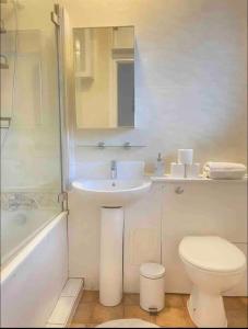 uma casa de banho com um lavatório, um WC e um chuveiro em Holiday apartment Central London em Londres