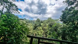una vista de un bosque con un cielo nublado en Villa Gatto Chalés - Visconde de Maua, en Bocaina de Minas