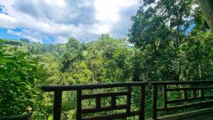 a view of a forest from a bench at Villa Gatto Chalés - Visconde de Maua in Bocaina de Minas