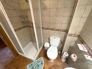 a bathroom with a toilet and a shower at Vivienda Vacacional Vila Castriño en las Rias Baixas in Taragoña +21 photos