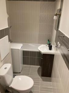 ミハロフツェにあるApartmán neďaleko centra mestaのトイレ、洗面台、浴槽を備えたバスルーム