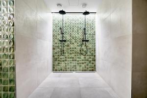 阿貝爾塔米的住宿－Dům 17 Bylin - Levandule, Růže，浴室设有绿色瓷砖和淋浴。