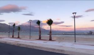 a row of palm trees on the beach at sunset at MareLuna in Gaeta