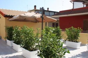 a group of potted plants and an umbrella at Casa Viola in Pozzallo