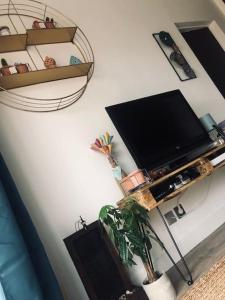 TV a/nebo společenská místnost v ubytování Charmant T2 idéal CV parking privé à la résidence