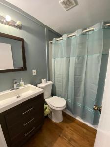 a bathroom with a toilet and a sink and a shower at 23 B ST APARTMENTS in Hampton +27 photos