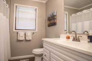 a bathroom with a toilet and a sink and a window at Modern Mountain - Welcoming House in Tennessee in Sevierville