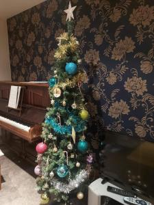 uma árvore de Natal numa sala ao lado de um piano em Holiday House Kinveachy em Aviemore