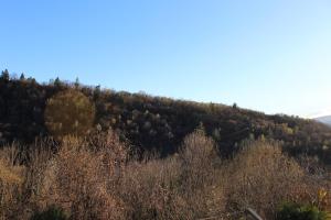 uma colina coberta de árvores no topo de um campo em Dimora Del Sole em Bieno