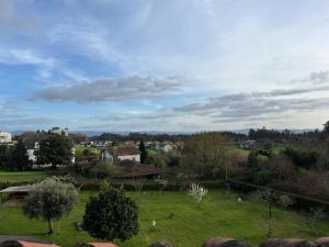 ein grünes Feld mit Tieren, die in einer Stadt grasen in der Unterkunft Dúplex Pico Sacro in Lestedo