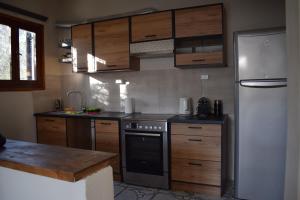 a kitchen with a stainless steel refrigerator and wooden cabinets at Serenity Agia Eleni Vacation House in Koukounaries