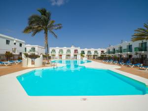 basen w ośrodku z krzesłami i palmą w obiekcie Armonia Pool View & Wi-Fi by iRent Fuerteventura w Corralejo