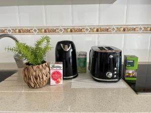 Una cafetera en una encimera de cocina con una planta en Dúplex Pico Sacro en Lestedo