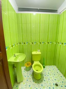 baño verde con aseo y lavamanos en Garden Hostel Tingo María, en Tingo María