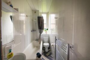 a bathroom with a toilet and a shower and a sink at Warm, Cozy&Relaxed Apartment by Holyrood Palace in Edinburgh