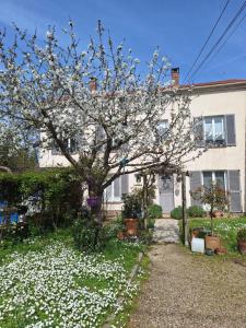 un arbre aux fleurs blanches devant une maison dans l'établissement L'Annexe de MaLou, à Maisons-Laffitte