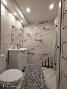 a white bathroom with a toilet and a shower at Apartament in centrul istoric in Baia Mare