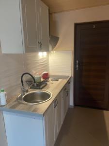 a kitchen counter with a sink and a door at Pokoje Gościnne - Apartamenty MATI in Kopalino