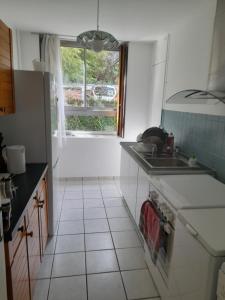 uma pequena cozinha com um lavatório e uma janela em Spacious Condo, Green Serenity em Palaiseau