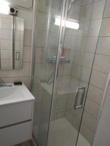 um chuveiro com uma porta de vidro na casa de banho em Spacious Condo, Green Serenity em Palaiseau