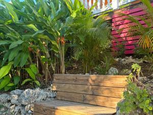 Zahrada ubytování L'escale Tropicale