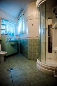 a bathroom with a shower and a toilet at Villa in Santa Cruz de Barahona
